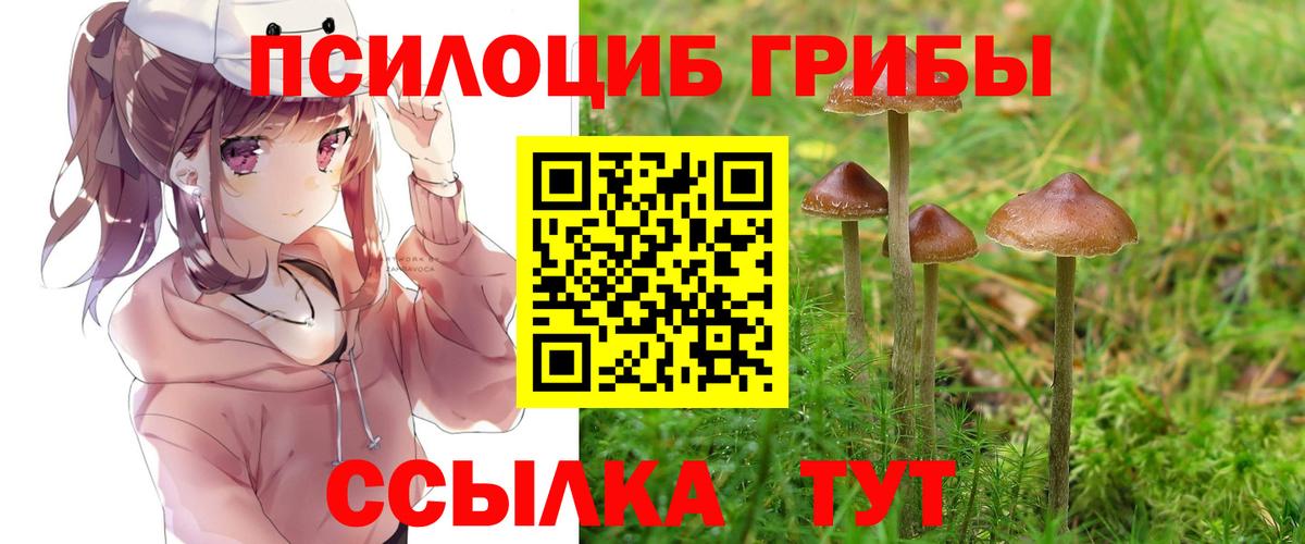 Южноуральск  Псилоцибиновые грибы Magic Shrooms  Галлюциногенные грибы мухоморы  где купить наркоту  Вход с VPN 